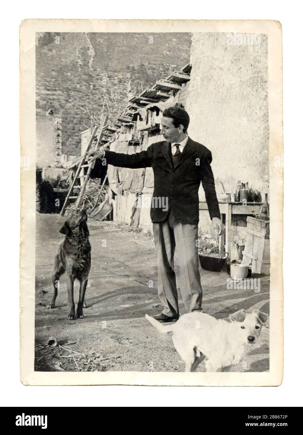 Vecchia stampa di una fotografia degli anni '60 in Italia. Uomo che gioca con due piccoli cani all'aperto. Foto Stock