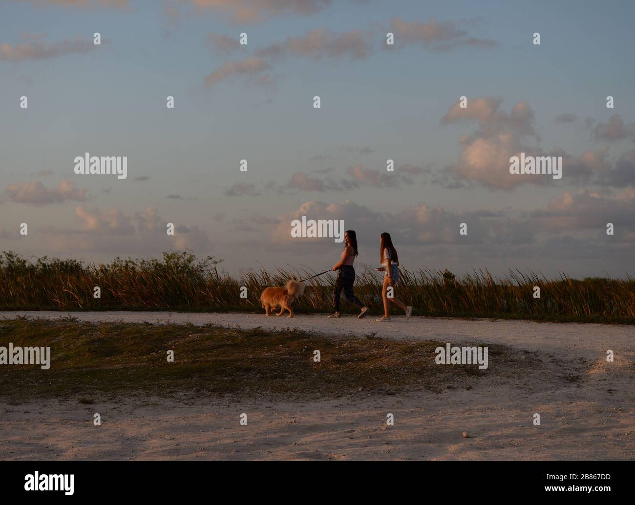 Coral Springs. 19 Mar 2020. Il sole si fissa al Loxahatchee Boat Ramp durante la Pandemia di Coronavirus il 19 marzo 2020 a Coral Springs, Florida. Credit: Mpi04/Media Punch/Alamy Live News Foto Stock