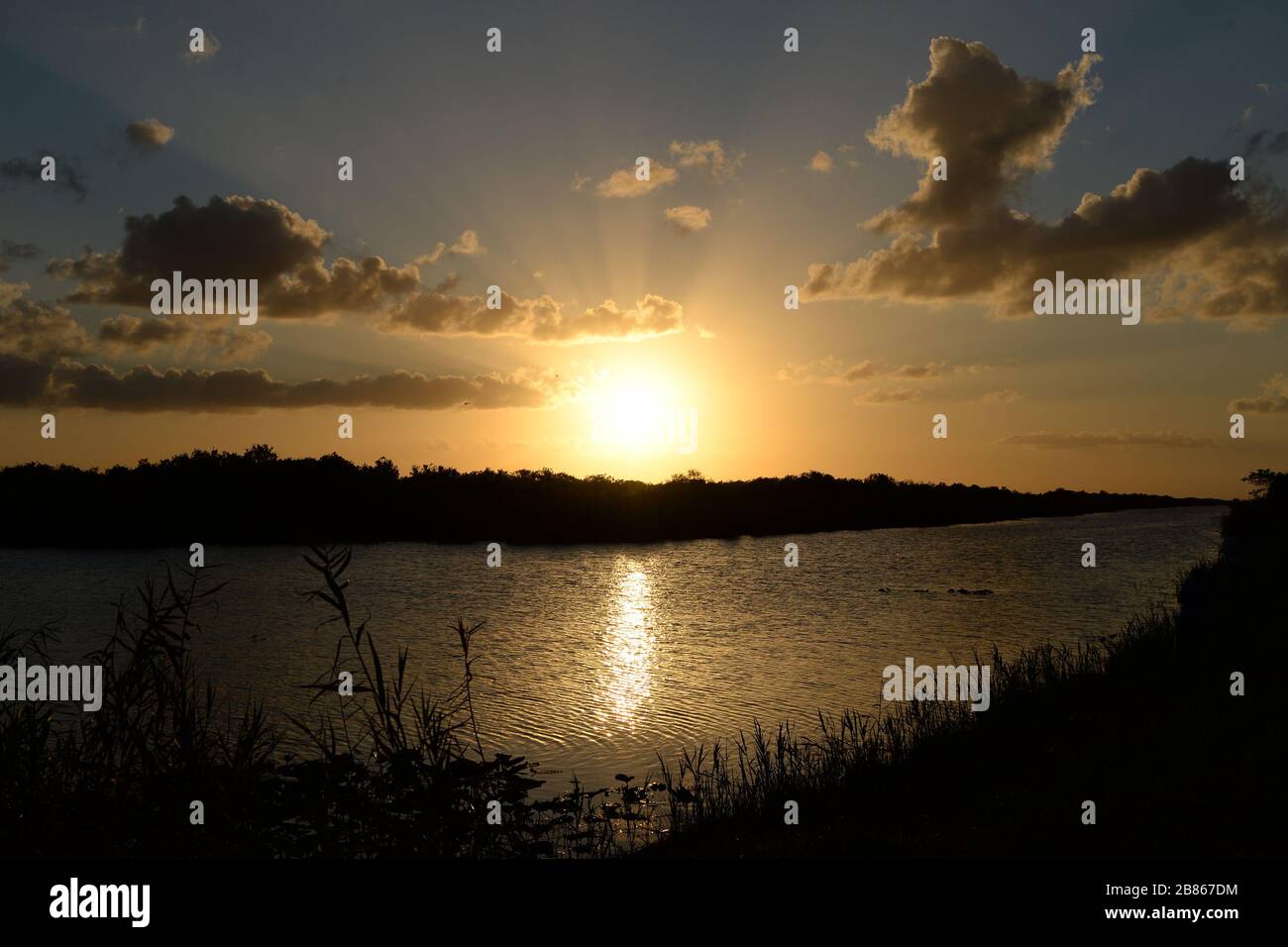 Coral Springs. 19 Mar 2020. Il sole si fissa al Loxahatchee Boat Ramp durante la Pandemia di Coronavirus il 19 marzo 2020 a Coral Springs, Florida. Credit: Mpi04/Media Punch/Alamy Live News Foto Stock