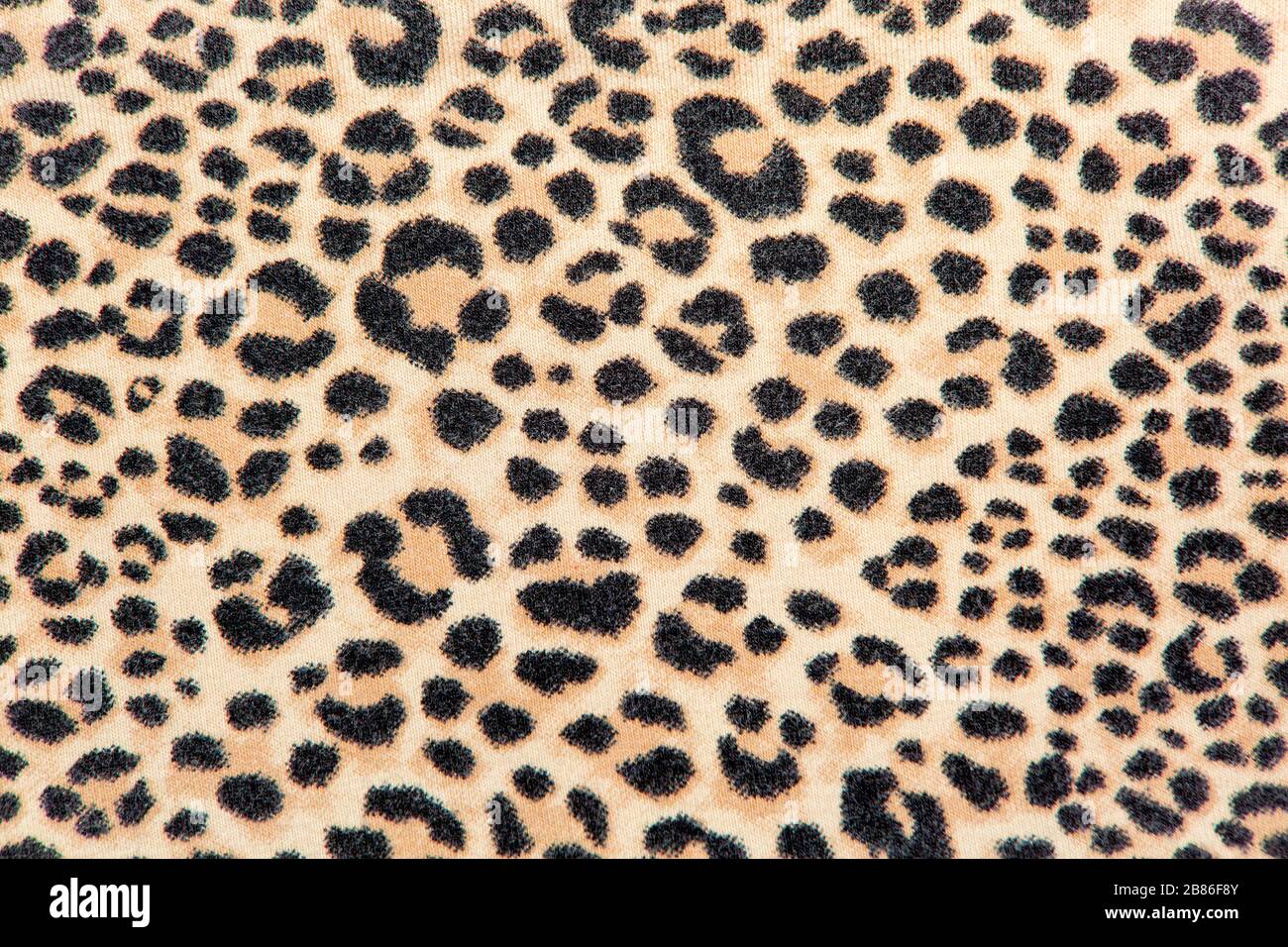 immagine sfondo tessuto esotico imitazione pelle leopardo Foto Stock