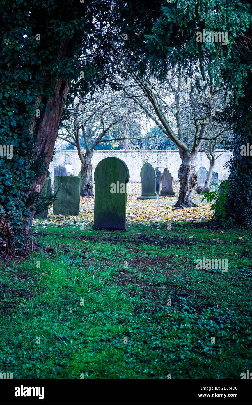 Erici marcature in pietra in un cimitero ombreggiato Foto Stock