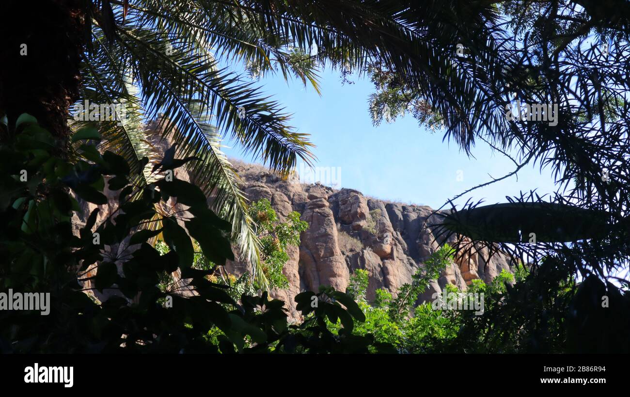 Montagne con cielo limpido e palme a Gran Canaria Foto Stock