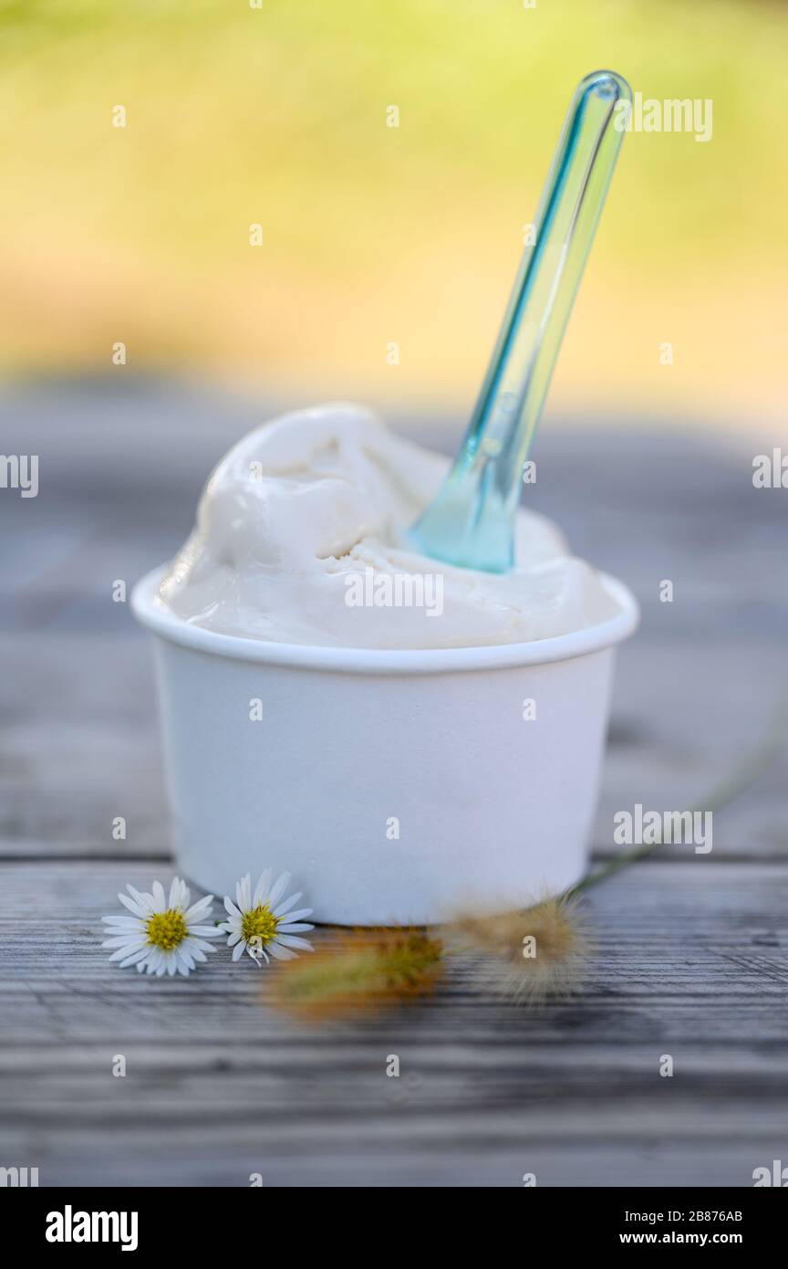 Tofu gelato in tazza di carta su tavolo di legno Foto Stock
