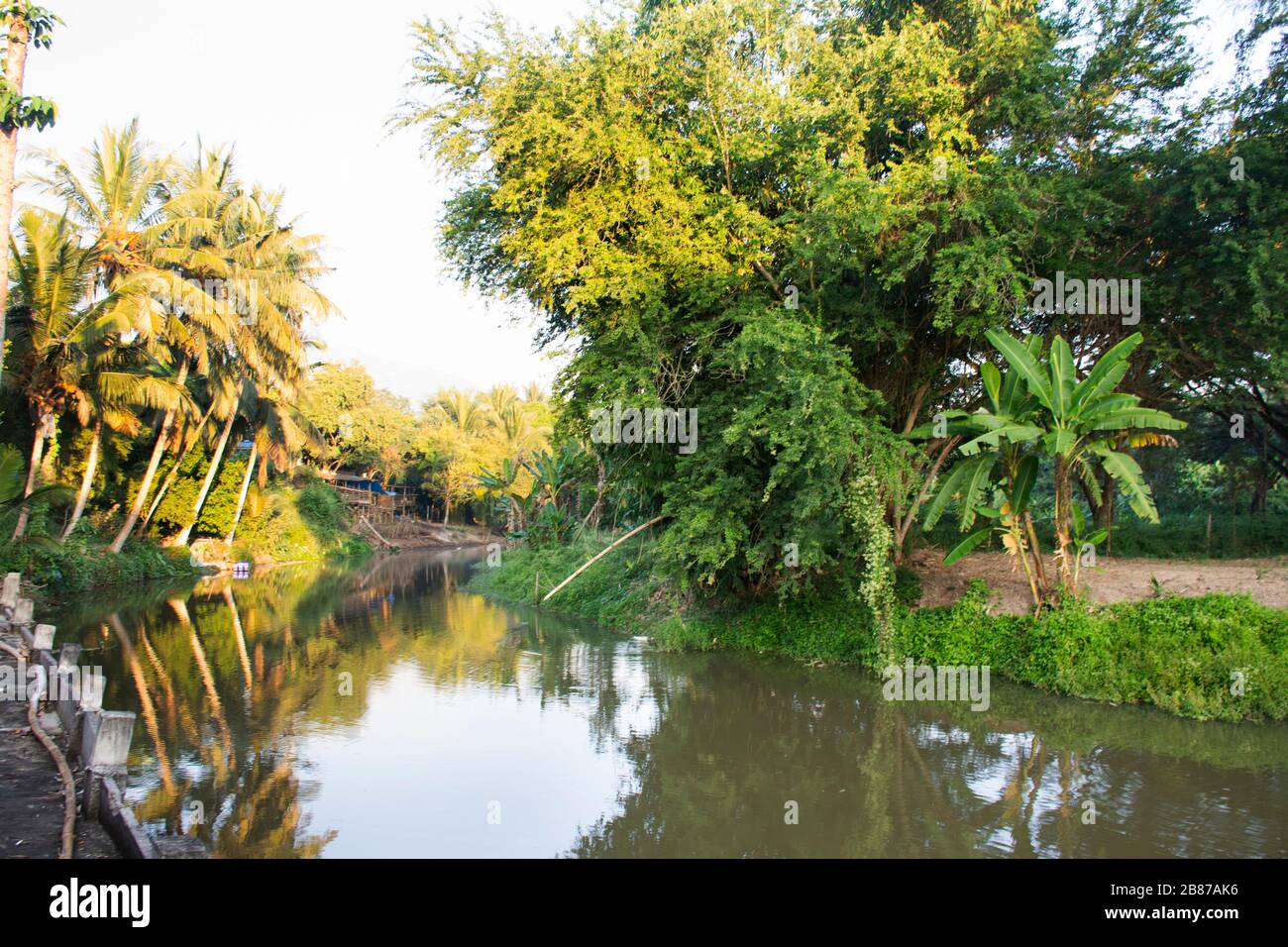 Ammira il paesaggio e il movimento delle acque del canale nel giardino agricolo e nella piantagione di noci di cocco a Samutsongkram, Thailandia Foto Stock