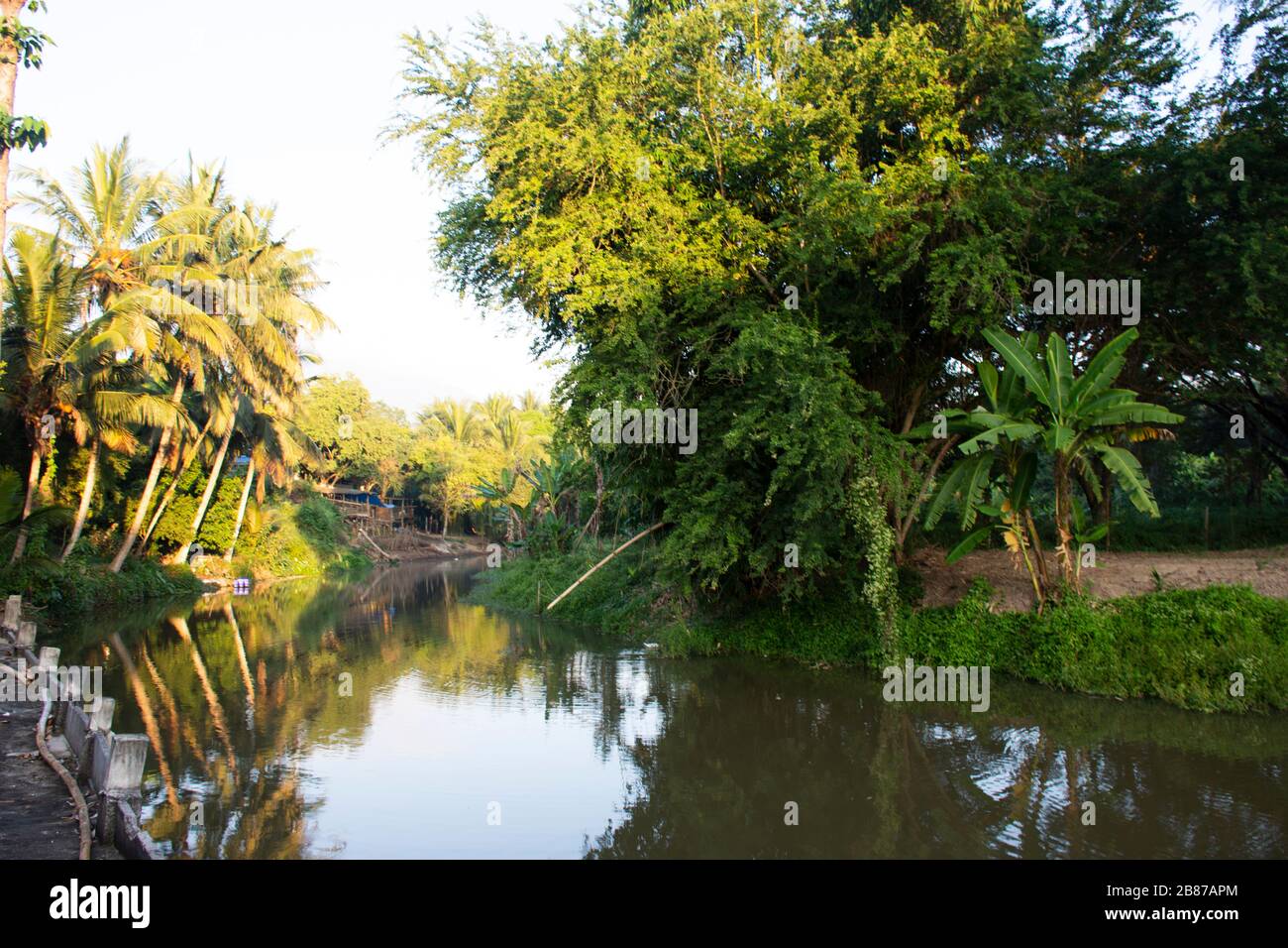 Ammira il paesaggio e il movimento delle acque del canale nel giardino agricolo e nella piantagione di noci di cocco a Samutsongkram, Thailandia Foto Stock
