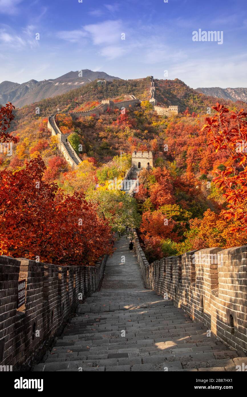 La Grande Muraglia di Mutianyu della Cina, Pechino Foto Stock