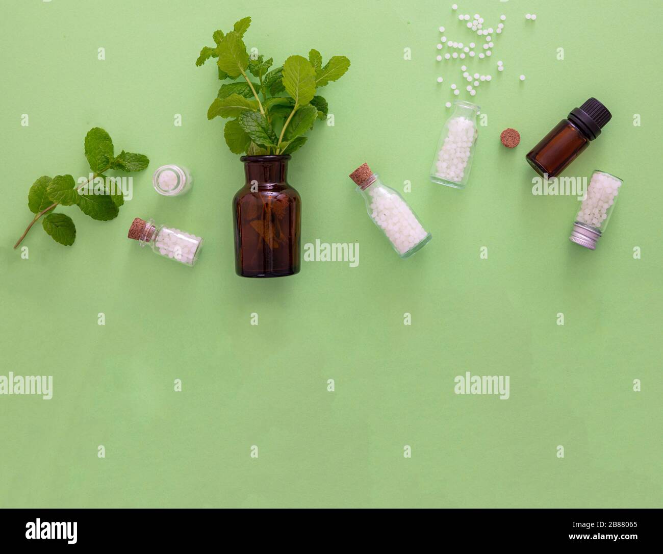 Concetto di omeopatia. Flaconi e fiale di vetro con globi omeopatici, sostanze liquide ed erbe fresche, fondo verde. Medicina alternativa delle erbe h Foto Stock