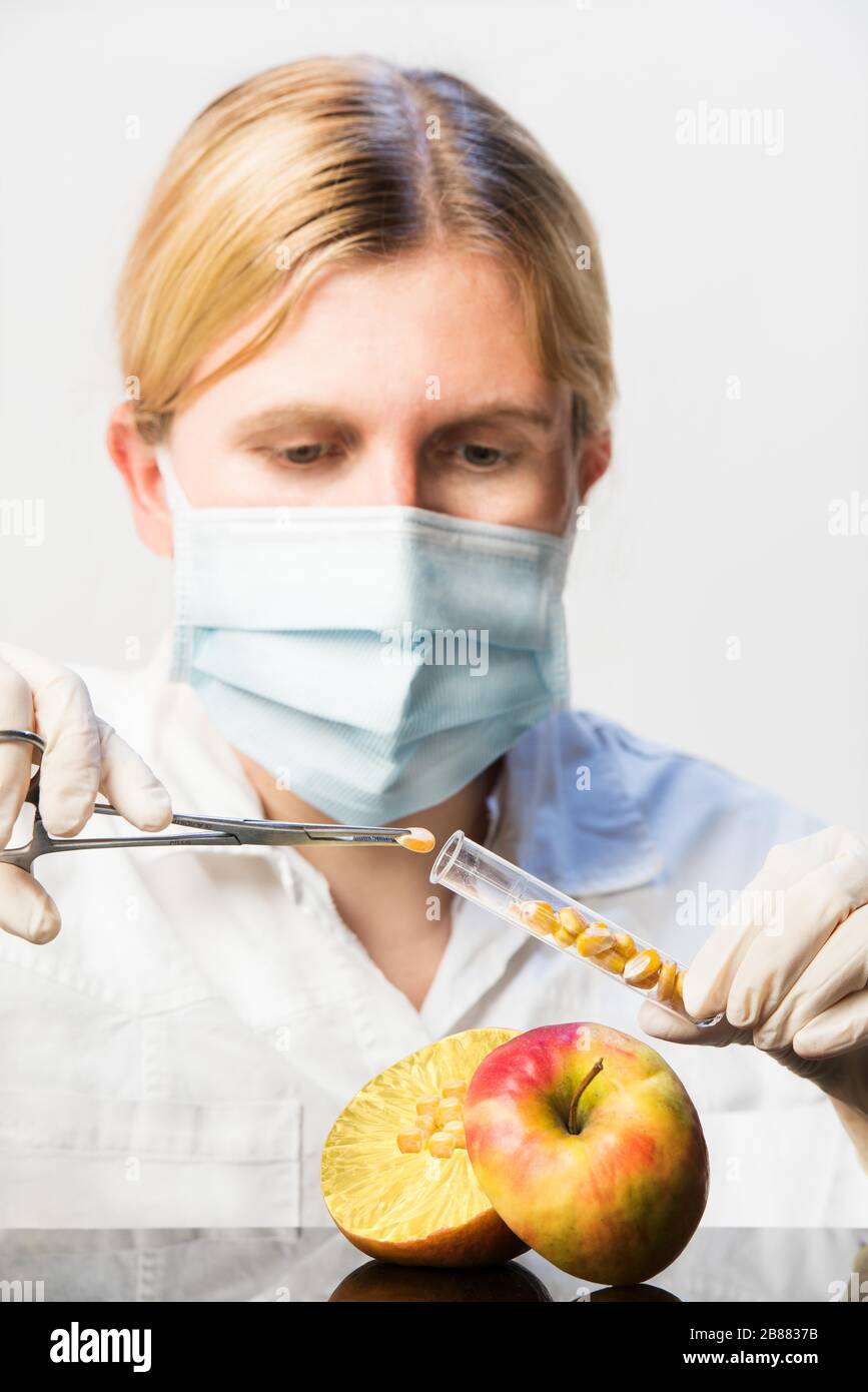 Composizione digitale, tecnico di laboratorio con frutta e provetta, immagine simbolo manipolazione genetica, Austria Foto Stock