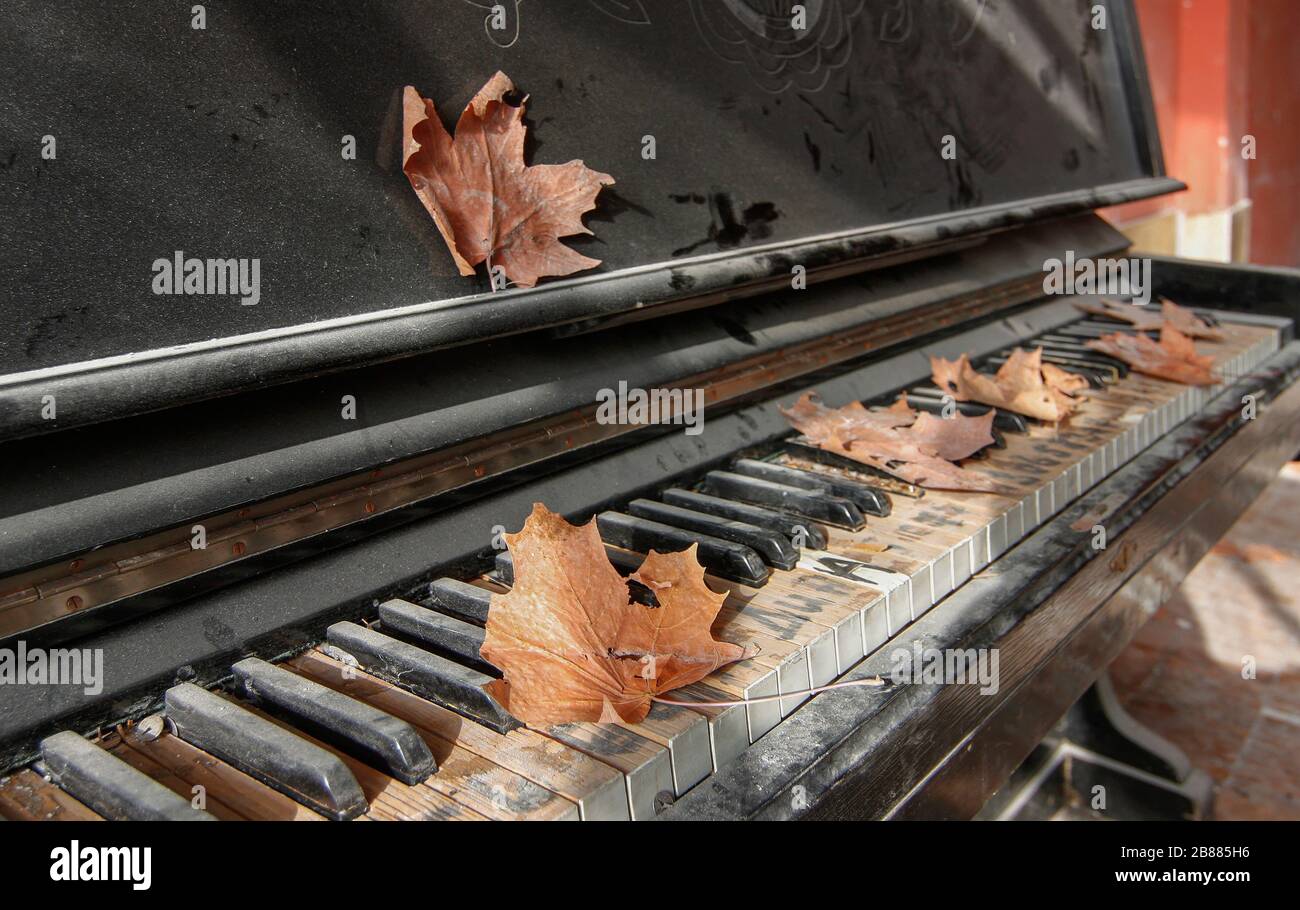Foglie di acero secco sui tasti di un vecchio pianoforte danneggiato Foto Stock