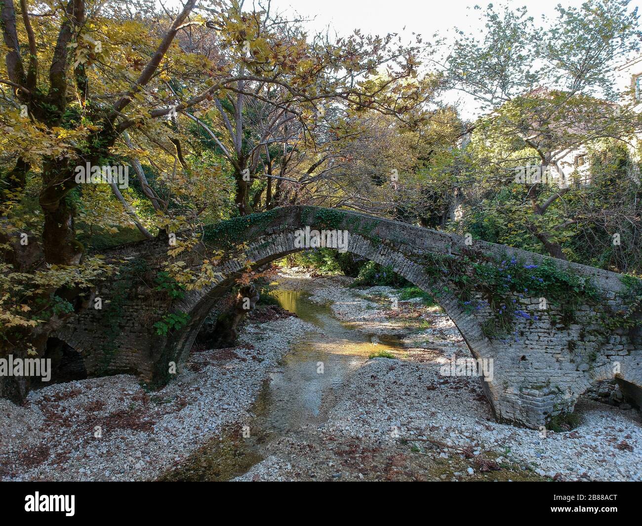 Tradizionale ponte in pietra e foresta di kalamas fiume ioannina villaggio greco Brosina a zitsa Grecia Epiro Foto Stock