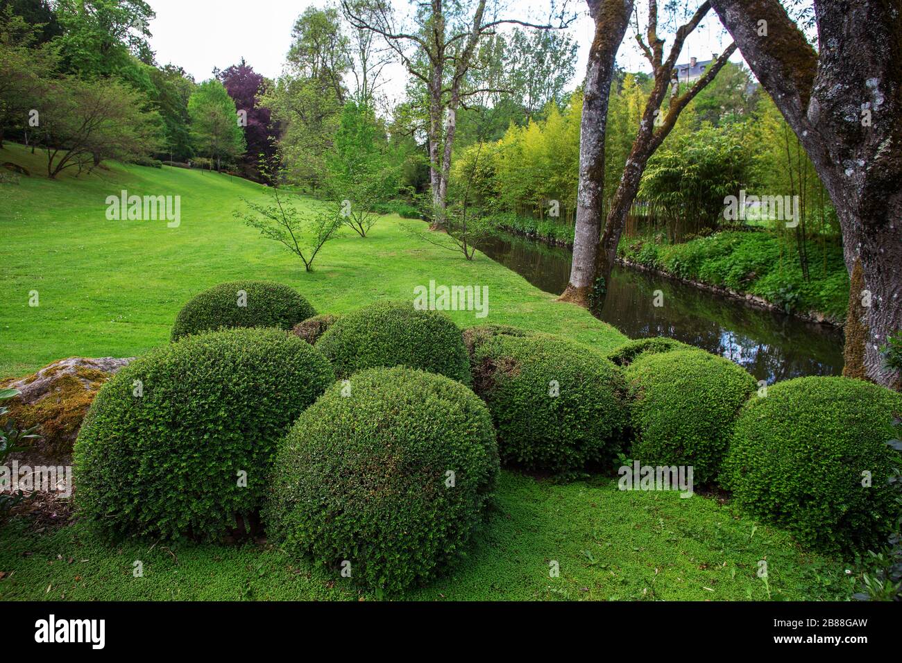 Idilliaca fioritura di rododendri e arte topiaria nel giardino giapponese di Maulivrier. Giornata di stupore al Parco orientale di Maulivrier. Cespugli. Foto Stock