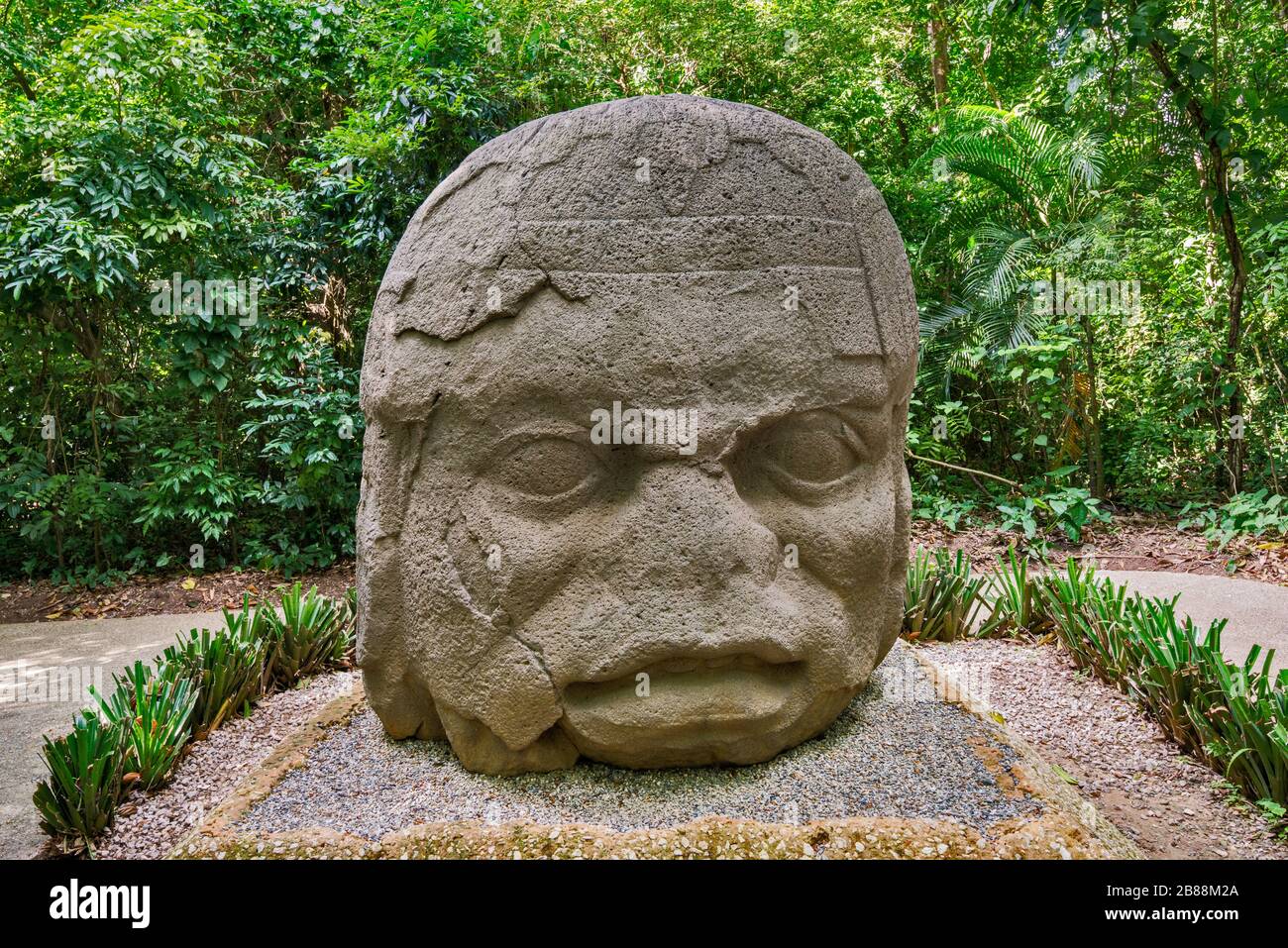 Colossale testa 4, El Viejo Guerrero (il Vecchio Guerriero), Olmec scultura di basalto al Parque la Venta a Villahermosa, Stato Tabasco, Messico Foto Stock