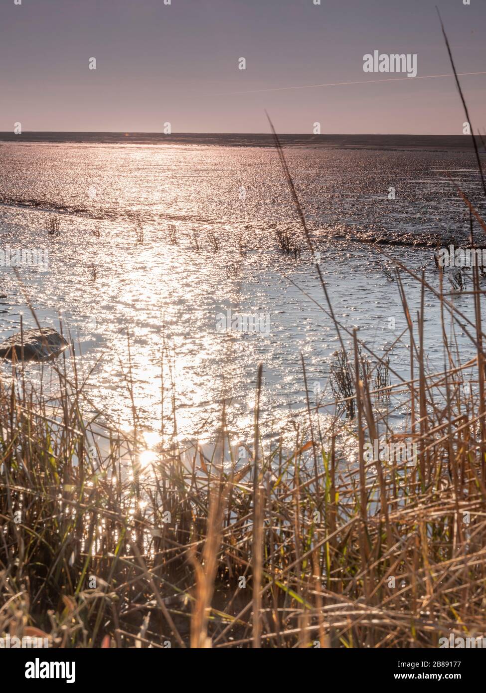 Vista aerea dell'orizzonte sul mare, con erba in primo piano, parco nazionale e patrimonio mondiale dell'UNESCO Waddensee area in provincia di Frisia, Nether Foto Stock