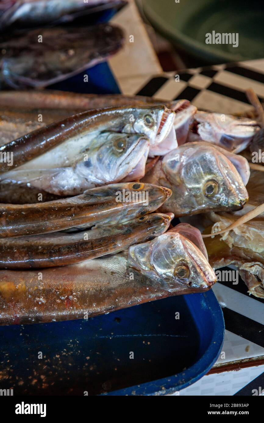 Mercato del pesce a Leticia, Amazon, Colombia, Sud America. Foto Stock