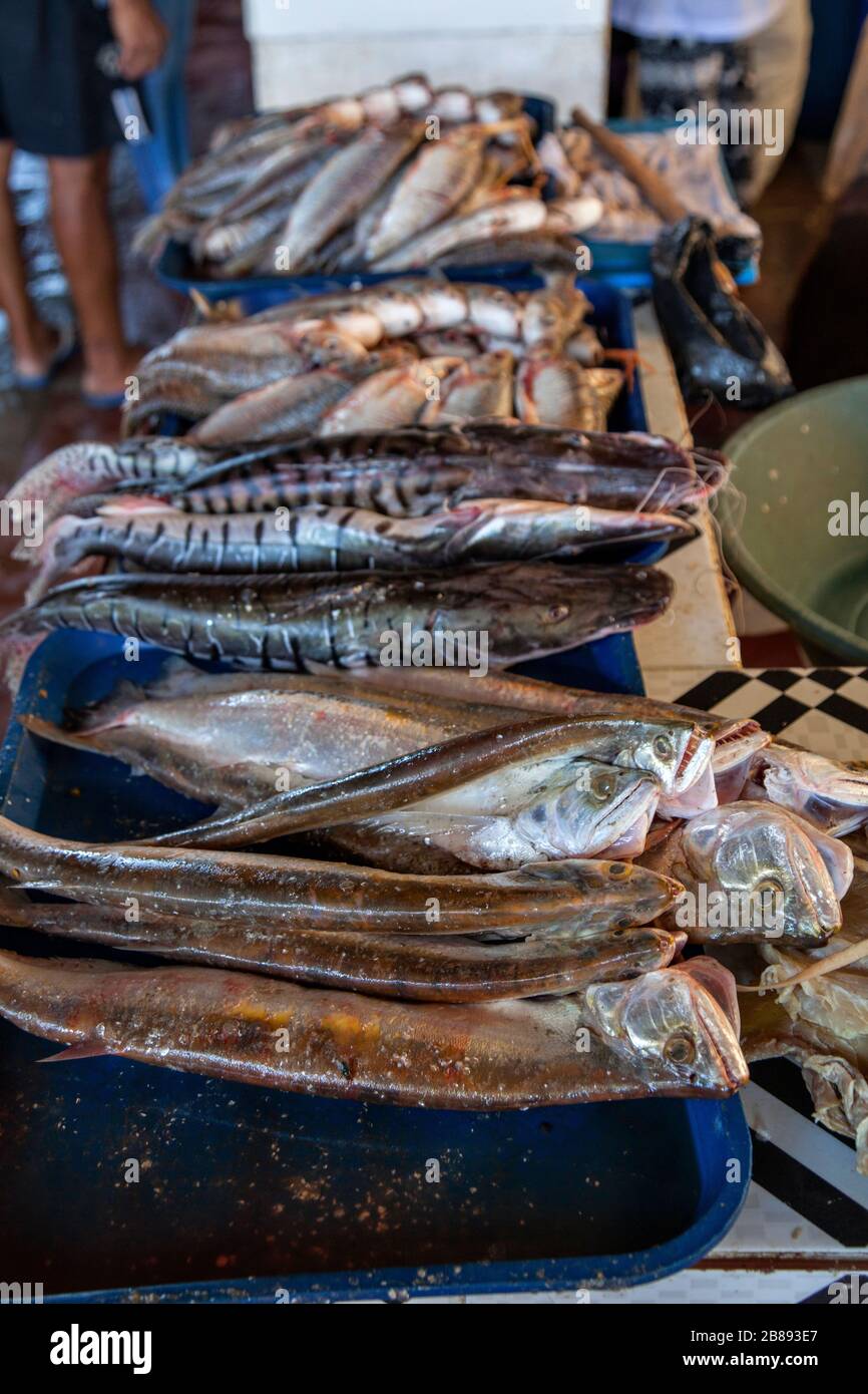 Mercato del pesce a Leticia, Amazon, Colombia, Sud America. Foto Stock