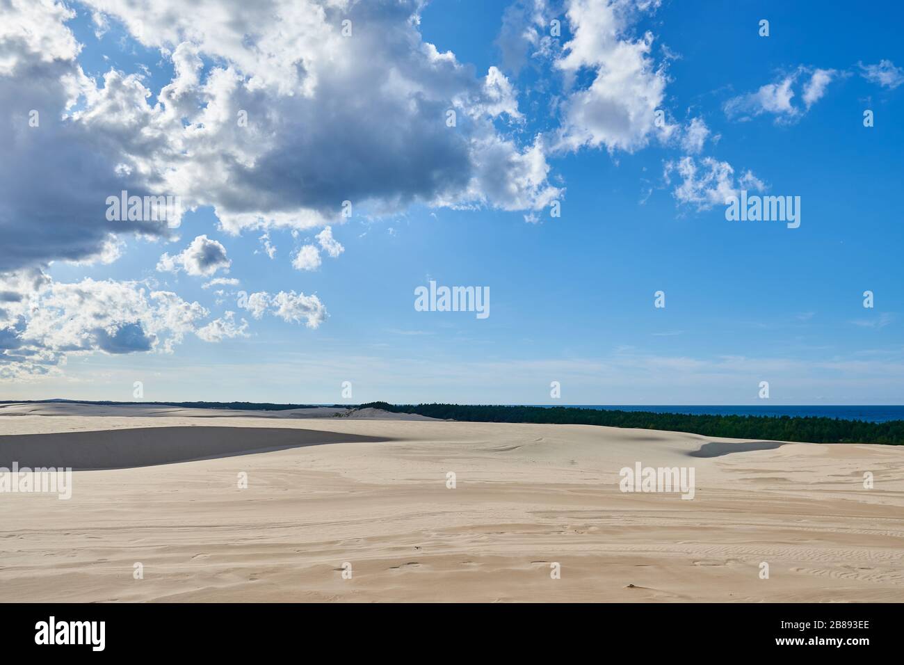 Parco nazionale di Slovinski, dune di sabbia di Leba sulla costa baltica Foto Stock