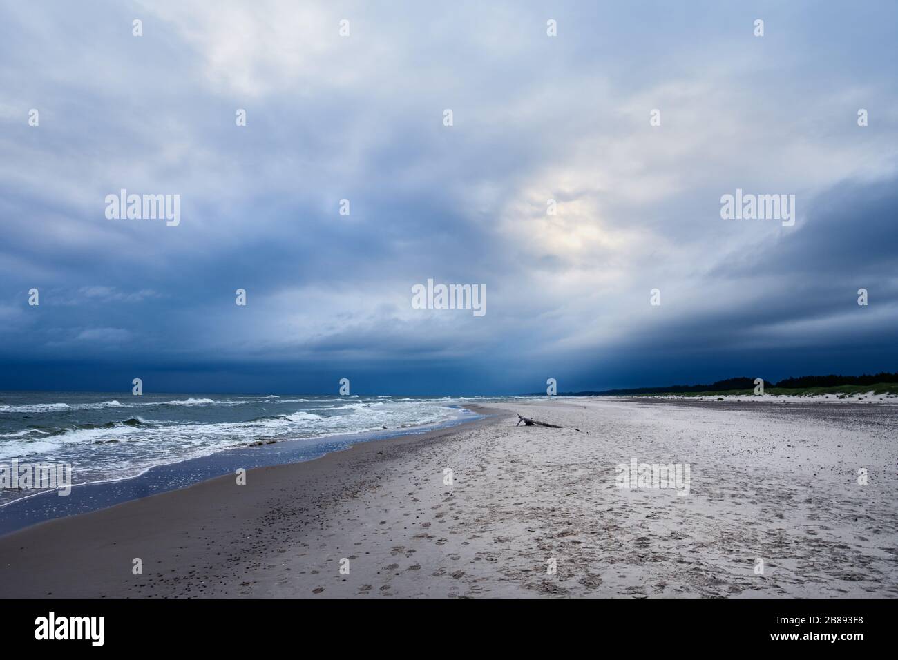 Mar Baltico costa con stump di legno e cielo nuvoloso Foto Stock