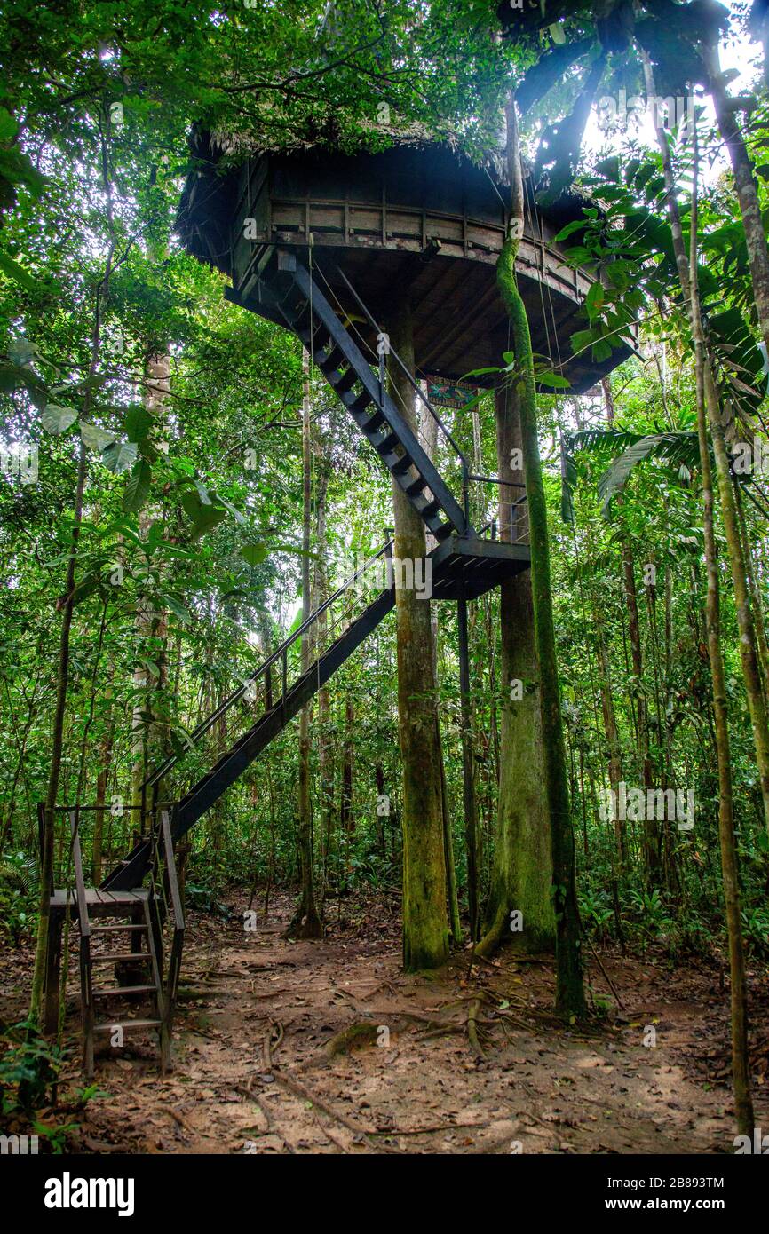 Tree house Lodge in Reserva Natural Tanimboca. Nature Reserve.Leticia, Amazon, Colombia, Foresta pluviale Sud America. Foto Stock