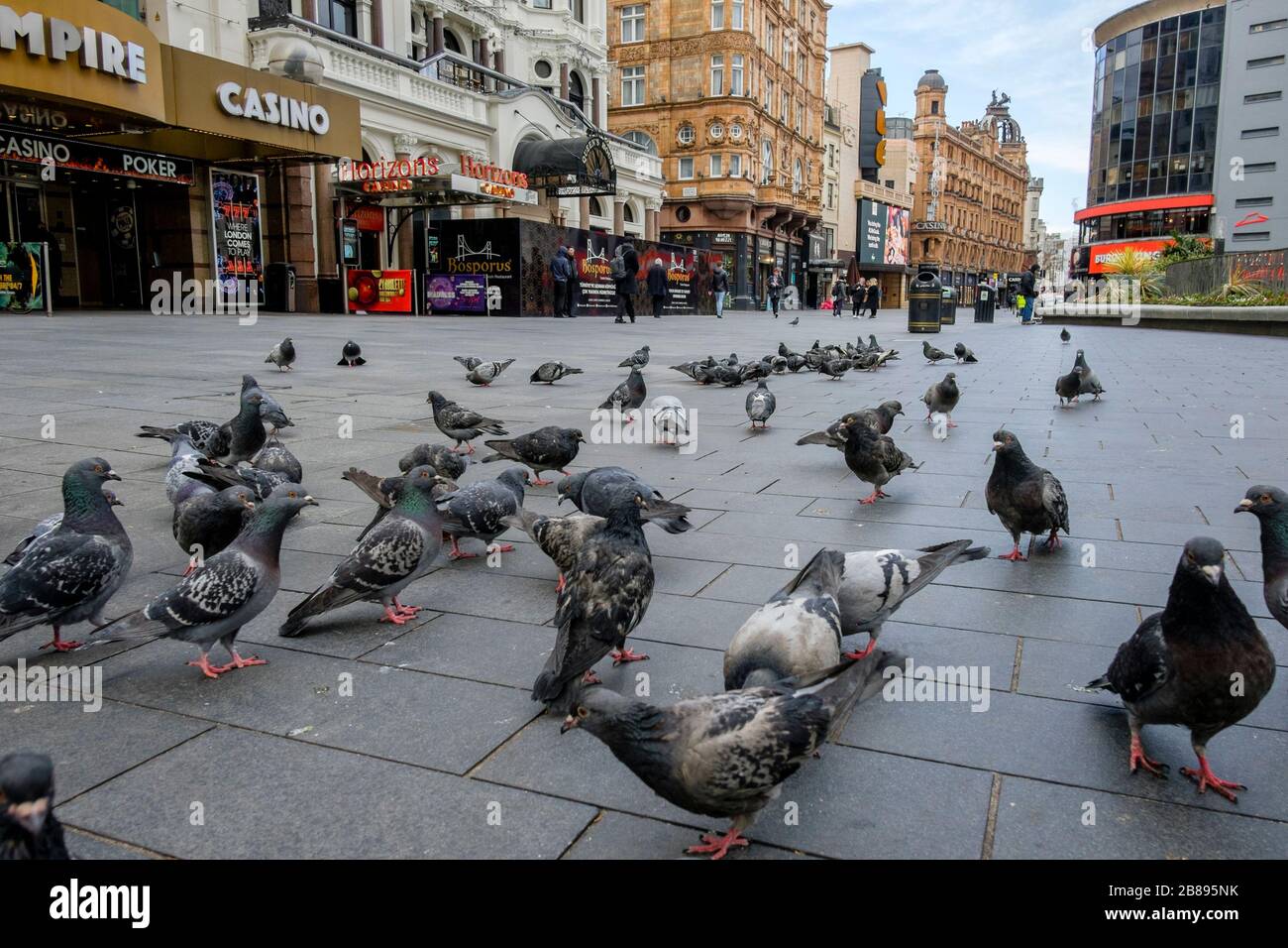 Londra, Regno Unito. 20 marzo 2020. I piccioni superano le persone in una piazza di Leicester quasi deserta, un'area normalmente piena di attività. Foto Stock