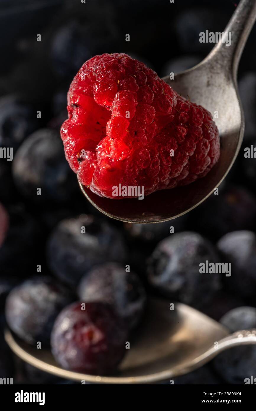 Lampone congelato sul cucchiaino da tè Foto Stock