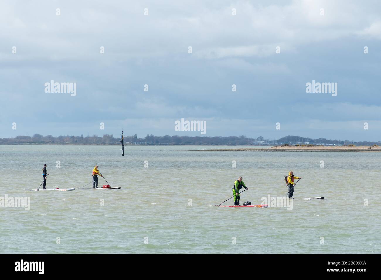 Paddle Boarders a Chichester Harbour, West Sussex, Inghilterra, Regno Unito Foto Stock