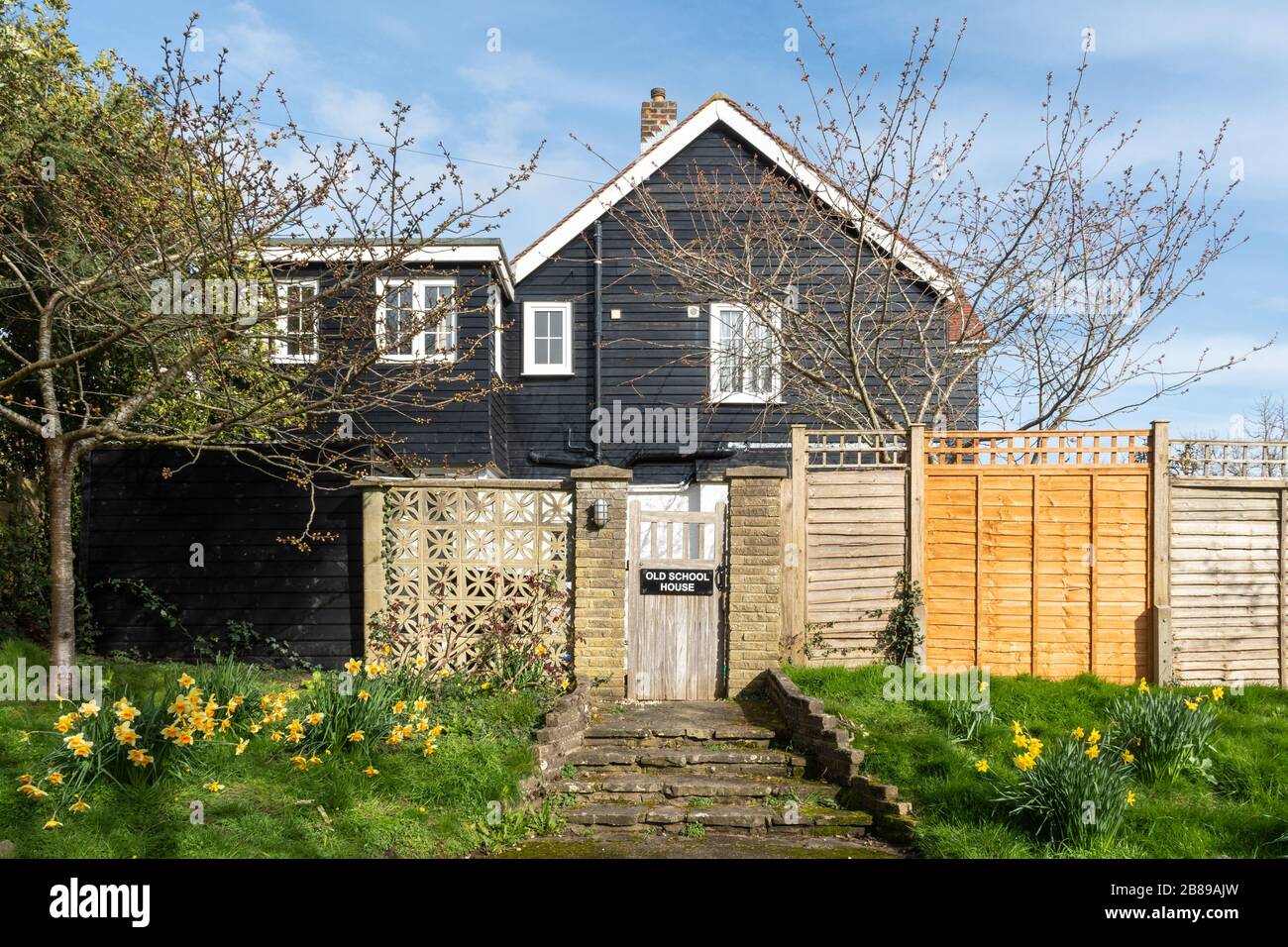Old School House nel West Sussex villaggio di Itchenor, Regno Unito, in primavera con narcisi in fiore Foto Stock