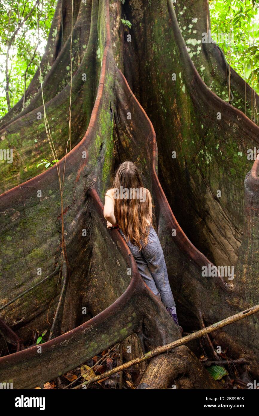 Giovane ragazza con i capelli lunghi in piedi nelle radici del rinforzo  dell'albero gigante di Oje nella foresta di pioggia di Amazon che dà un  senso di scala. Perù, Sud America Foto