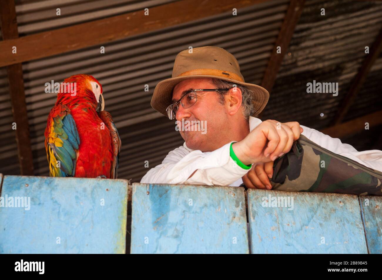 Turista occhio a occhio con pappagallo in Amazzonia su una prenotazione indiana. Perù, Sud America. Foto Stock