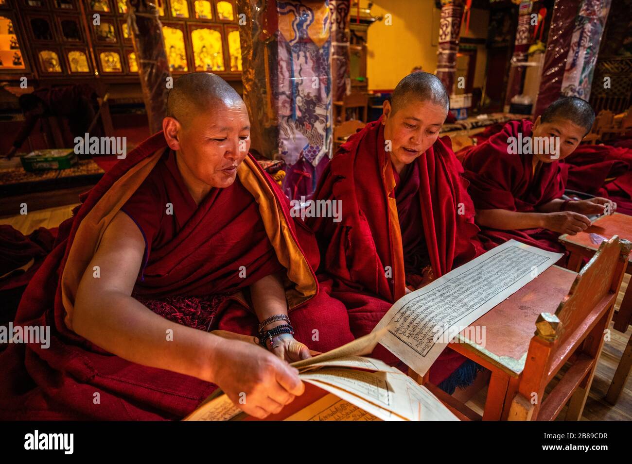 Monache che leggono le scrollate tibetane al Nunnery Chupzang a Lhasa, Tibet Foto Stock