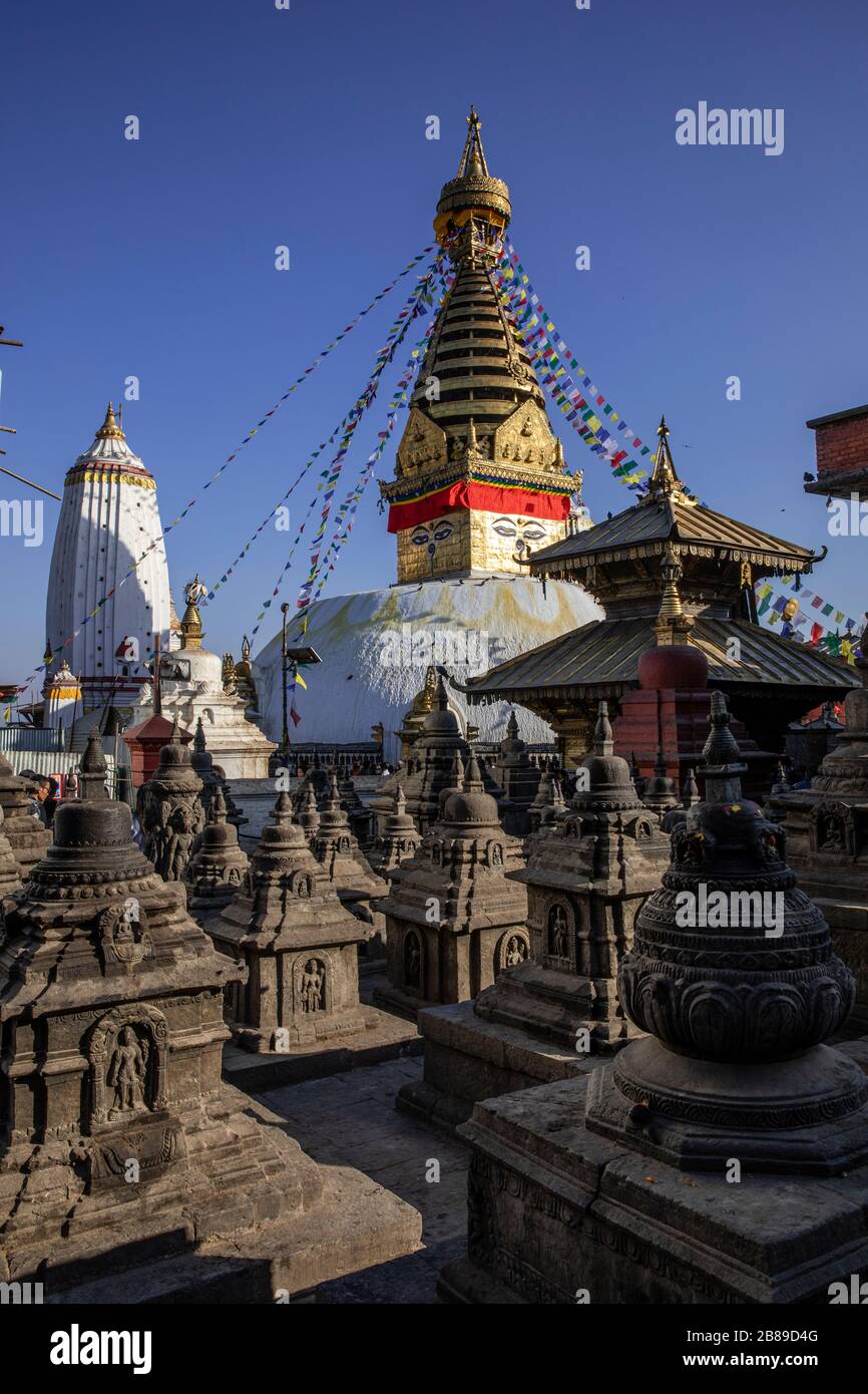 Swayambhunath Stupa aka Tempio delle scimmie a Kathmandu, Nepal Foto Stock