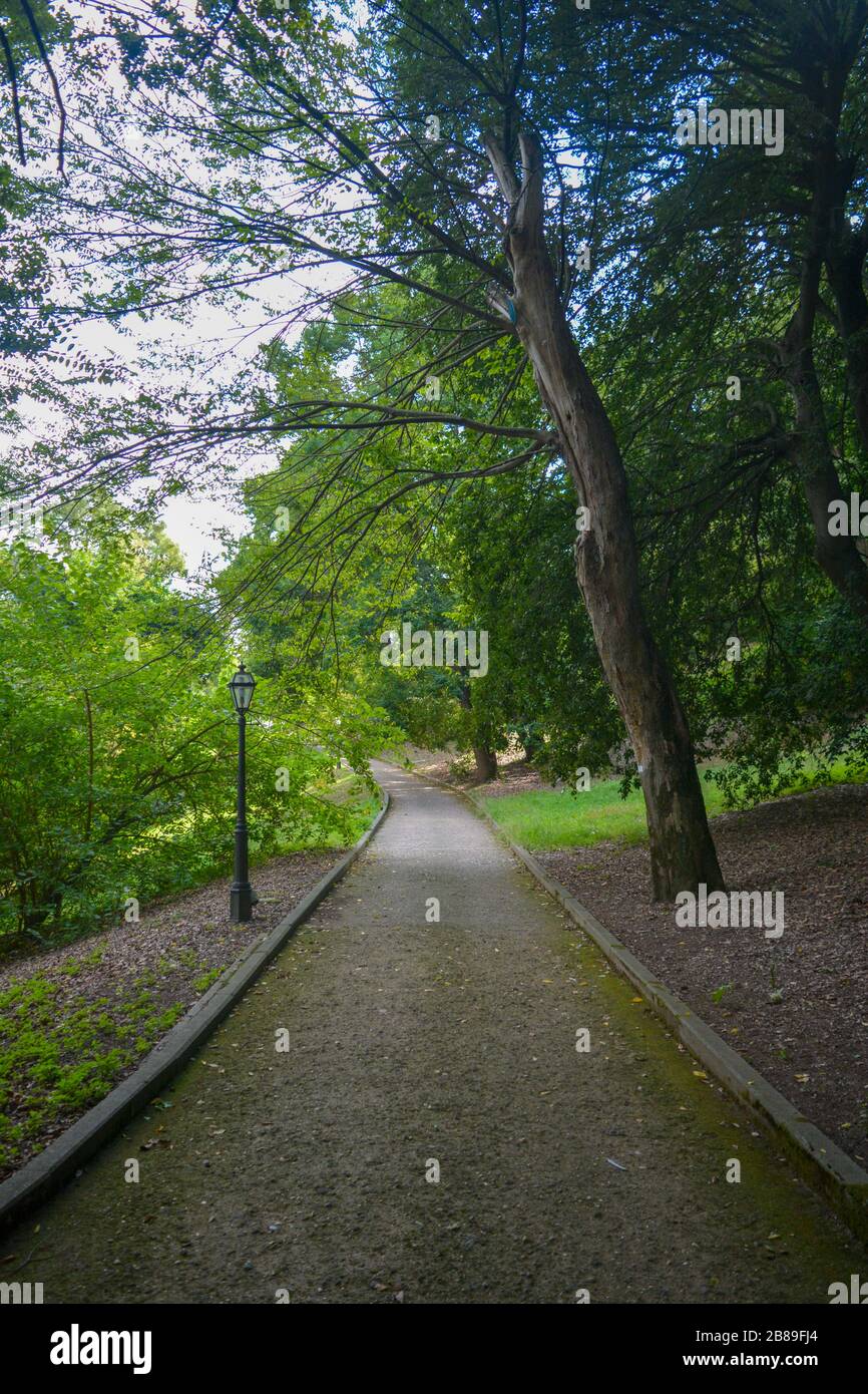 Un bel sentiero tranquillo in un parco cittadino. Alberi verdi, eleganti luci di strada, cielo blu e nuvole bianche. Scena urbana idilica a Roma, Italia Foto Stock