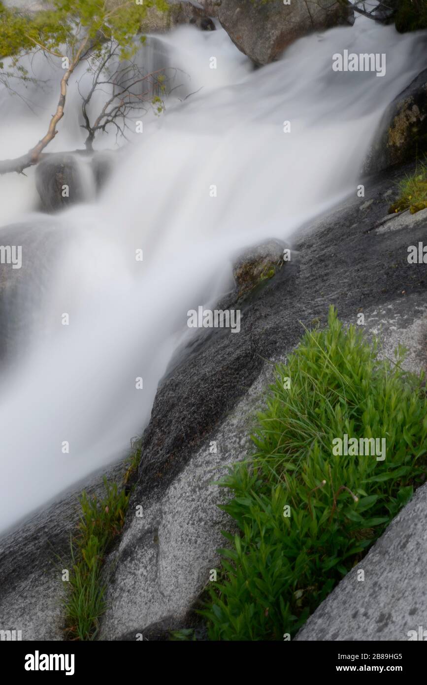 Intimo paesaggio di primavera run-off nelle Wells Canyon Wasatch Mountains Foto Stock