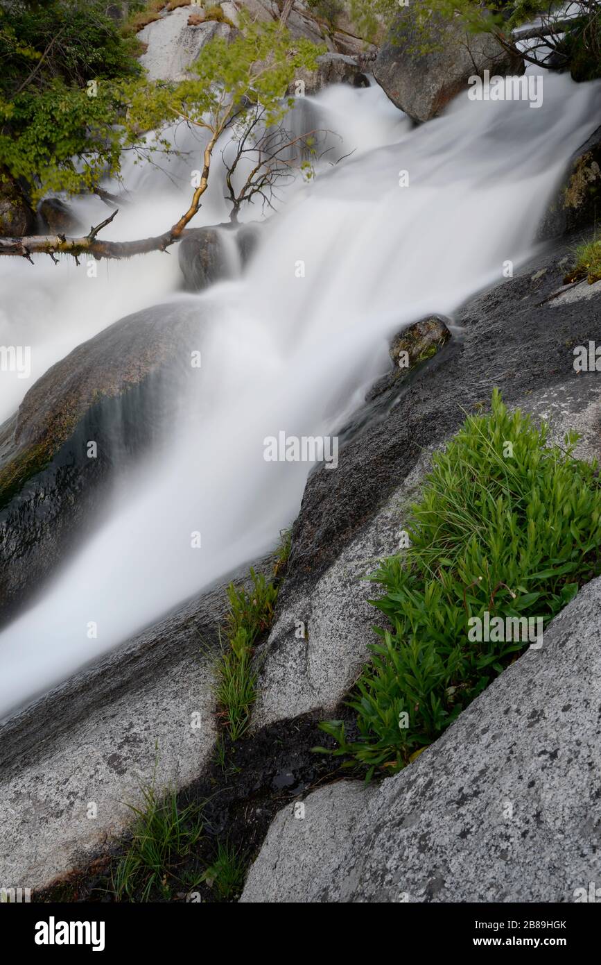 Intimo paesaggio di primavera run-off nelle Wells Canyon Wasatch Mountains Foto Stock