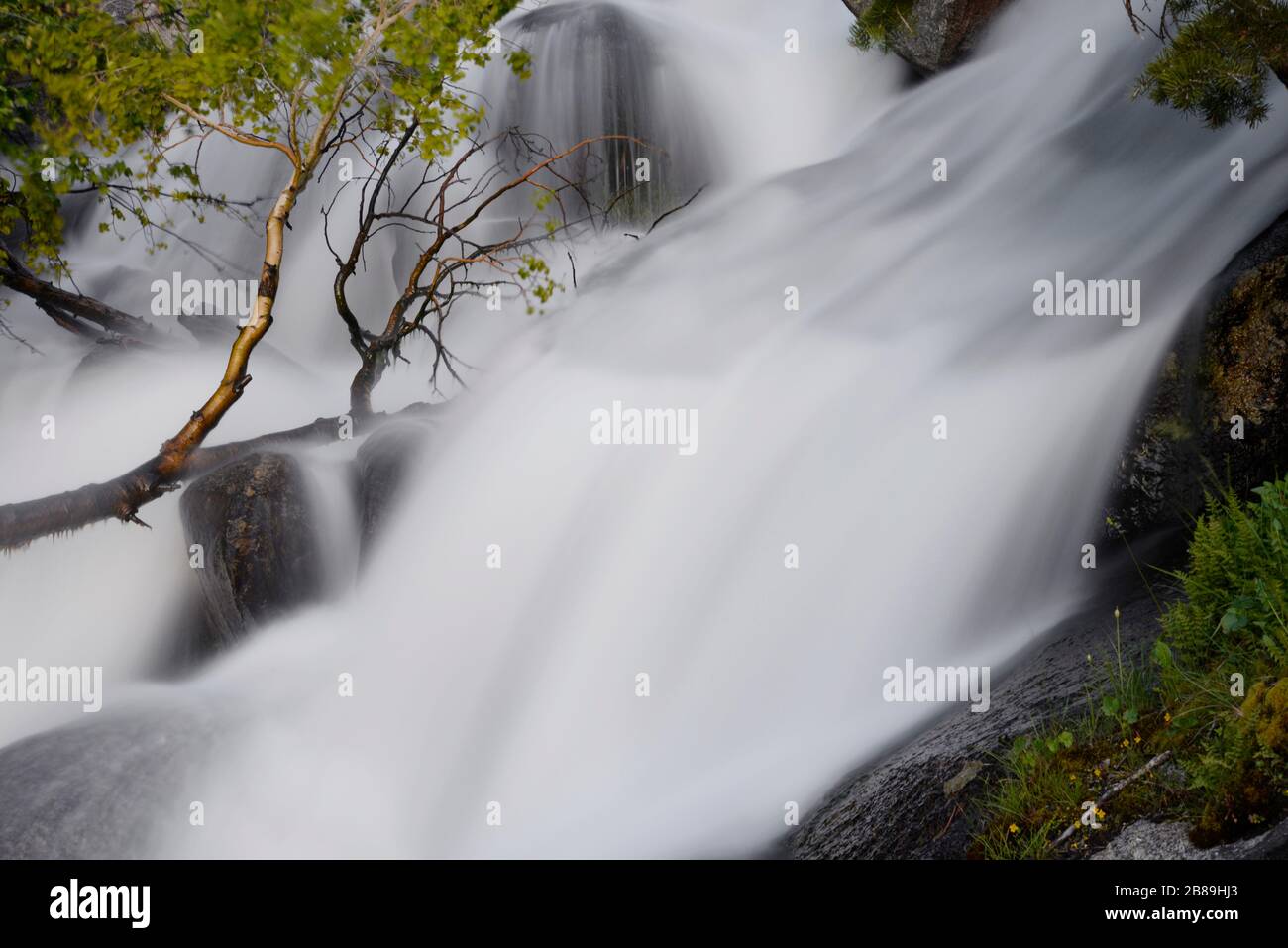 Dettaglio del run-off primaverile a Bells Canyon, Wasatch Mountains, Utah Foto Stock