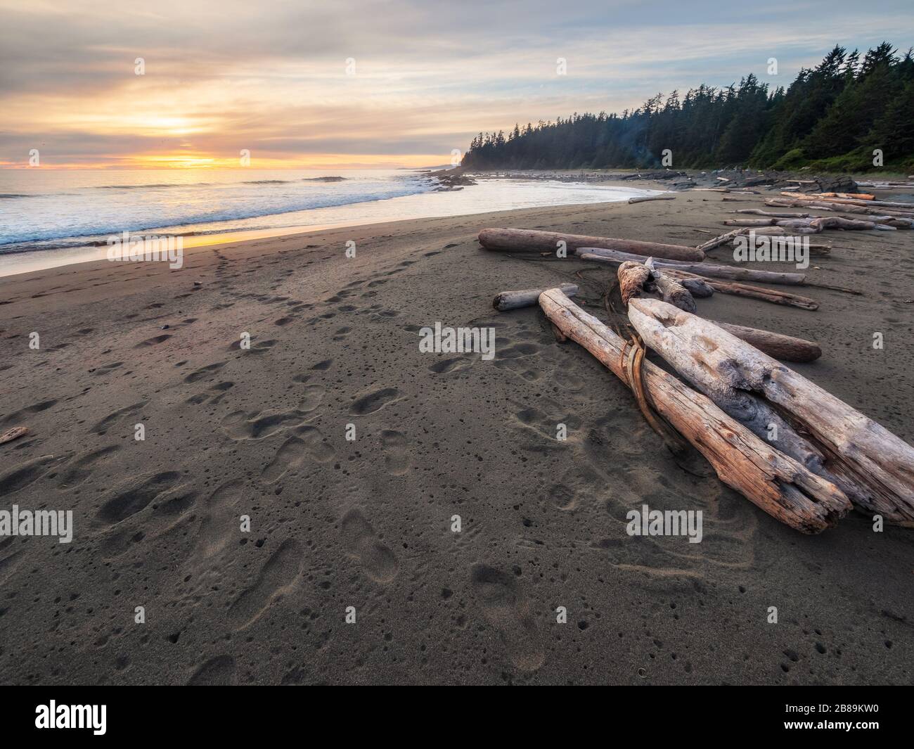 Tramonto lungo il West Coast Trail sull'Isola di Vancouver in British Columbia, Canada. Foto Stock