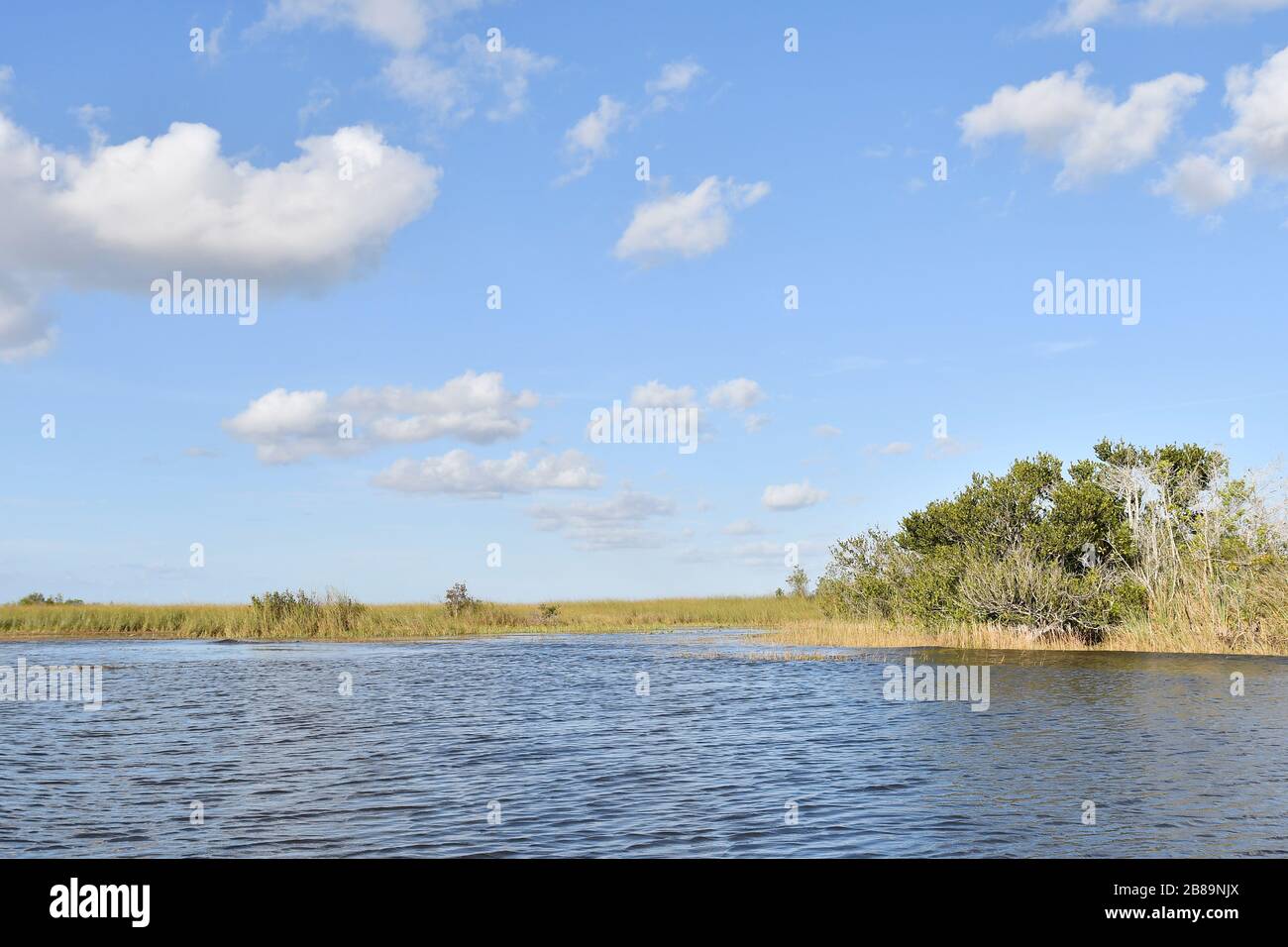 Everglades, Miami, Florida, USA Foto Stock