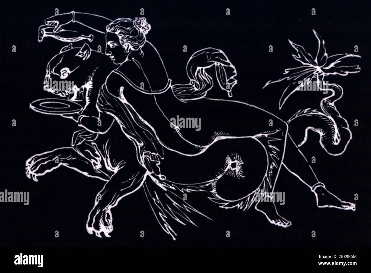 Questa illustrazione di un Nereide si basa sull'arte dell'affresco murale di Stabiae, una delle numerose città italiane a sud di Roma distrutte nell'eruzione del Vesuvio nel 79 d.C. i Nereidi facevano parte del pantheon greco delle divinità nell'antichità, E come molti di questo pantheon, i Nereidi erano associati con l'acqua, perché i Nereidi erano ninfe marine greche. Qui un Nereid si trova su una pantera marina in una sala da pranzo in una casa a Stabiae. Foto Stock