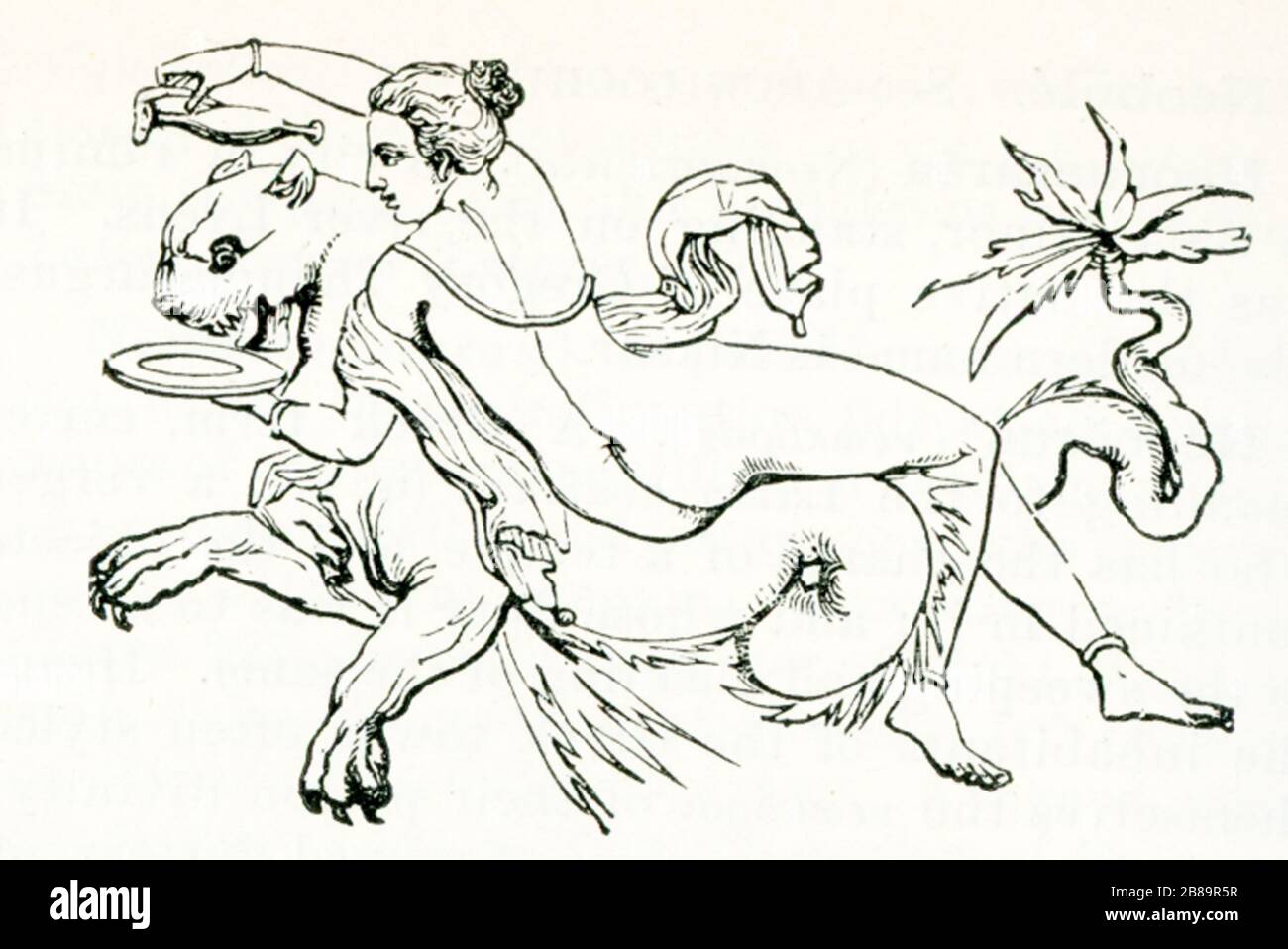 Questa illustrazione di un Nereide si basa sull'arte dell'affresco murale di Stabiae, una delle numerose città italiane a sud di Roma distrutte nell'eruzione del Vesuvio nel 79 d.C. i Nereidi facevano parte del pantheon greco delle divinità nell'antichità, E come molti di questo pantheon, i Nereidi erano associati con l'acqua, perché i Nereidi erano ninfe marine greche. Qui un Nereid si trova su una pantera marina in una sala da pranzo in una casa a Stabiae. Foto Stock