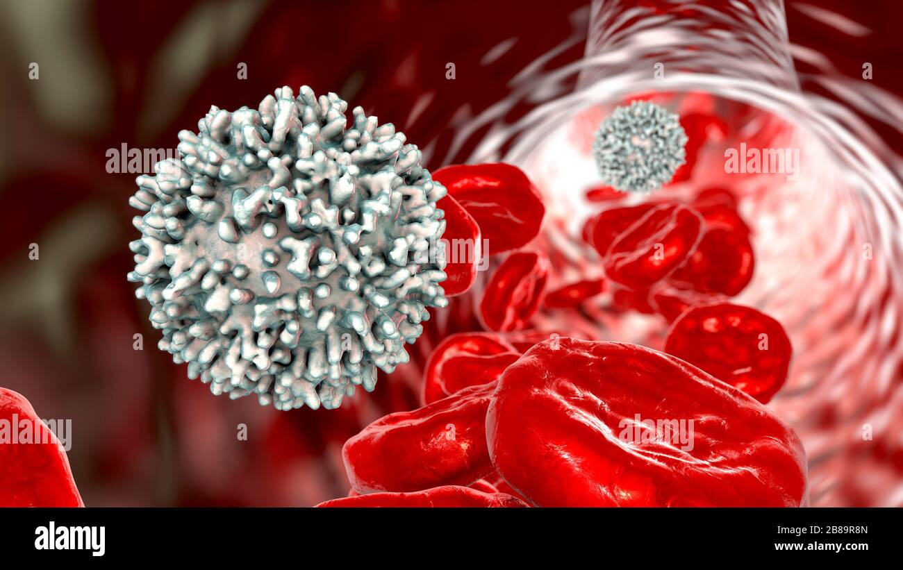 Le cellule del sangue, illustrazione Foto Stock