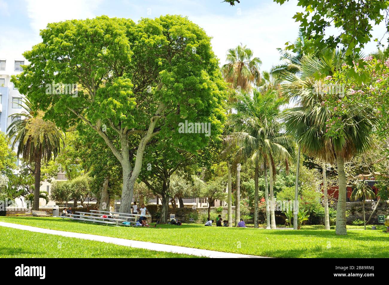 Victoria Park natura nella città di Hamilton, Bermuda. Parco costruito nel 1880 in celebrazione del Giubileo d'Oro della Regina Vittoria. Foto Stock