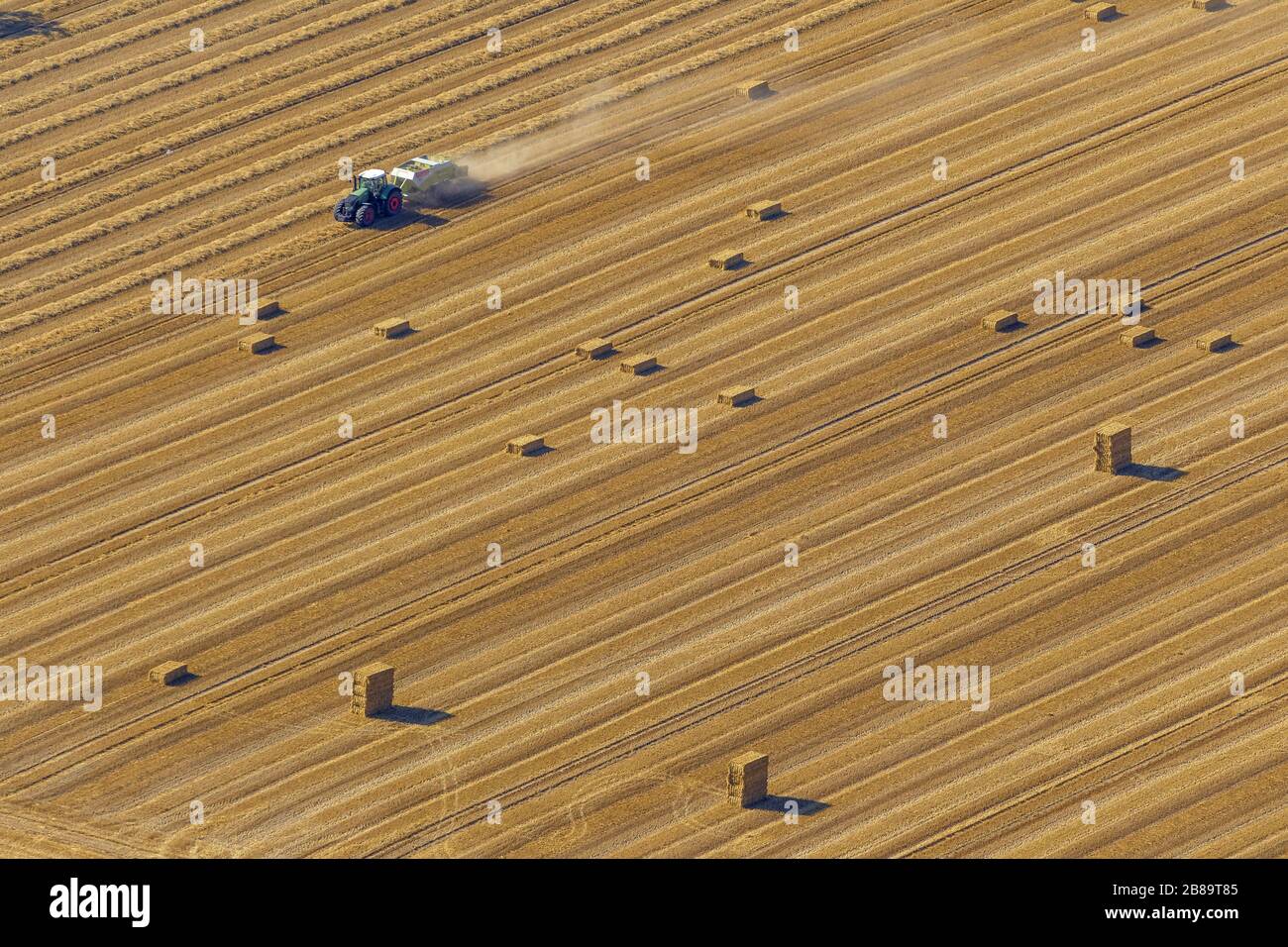 , raccolto su campi, 16.08.2013, vista aerea, Germania, Renania Settentrionale-Vestfalia, basso Reno, Uebach-Palenberg Foto Stock