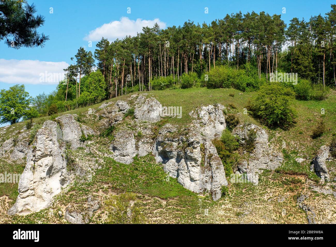 Formazione rocciosa nella valle di Dossing, Germania, Baden-Wuerttemberg, Alb Svevo Foto Stock