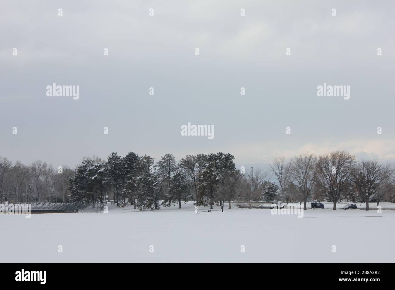 City Park, Denver, Colorado, STATI UNITI D'AMERICA Foto Stock