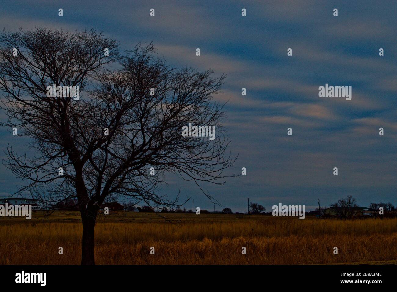 Mattina nel Texas Panhandle, Canyon, Texas Foto Stock