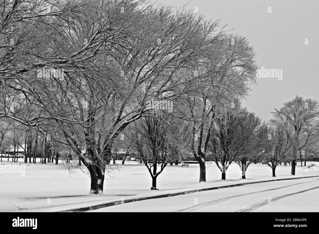 Nevicata Texas Panhandle, Canyon, Texas Foto Stock