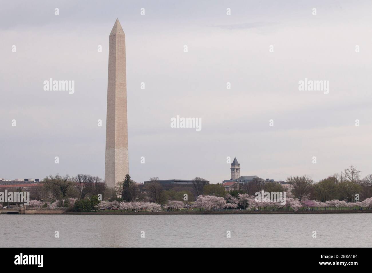 Il Washington Monument e la torre dell'Old Post Office appaiono sopra i Cherry Blossoms al Tidal Basin di Washington, D.C., 20 marzo 2020. Foto Stock