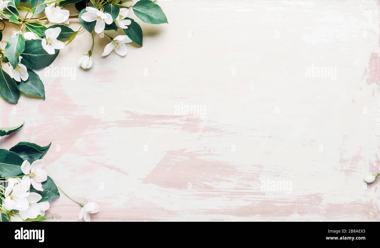 Ramo di albero di mela su uno sfondo di legno in stile retrò. Primavera concetto sfondo astratto primavera fondo, composizione minima. Foto Stock