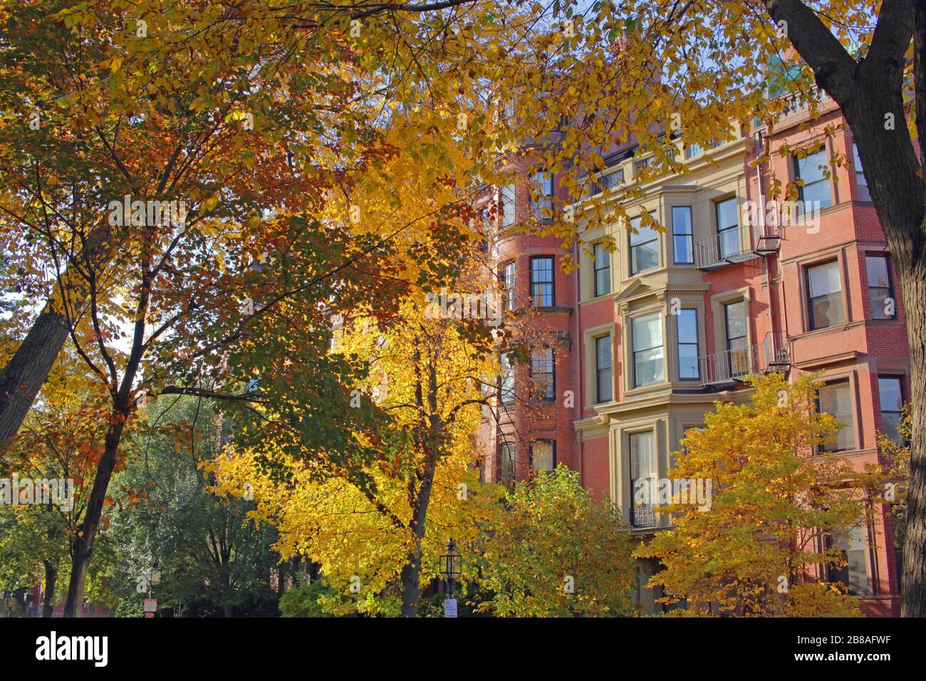 Alberi ed edifici lungo Commonwealth Avenue, Boston, Massachusetts, USA Foto Stock