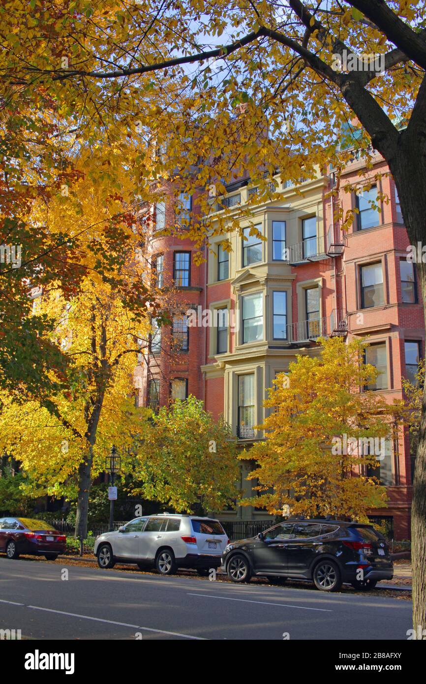 Alberi ed edifici lungo Commonwealth Avenue, Boston, Massachusetts, USA Foto Stock