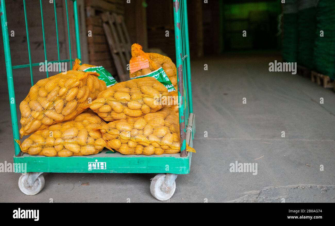Oldendorf, Germania. 20 Marzo 2020. Sacchi di patate giacciono su un carrello. La crisi di Corona ha aumentato in modo significativo la domanda di patate la scorsa settimana. Credit: Philipp Schulze/dpa/Alamy Live News Foto Stock